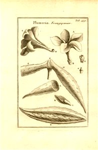 n189_w1150