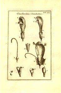 n174_w1150