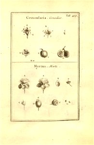 n159_w1150