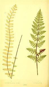 n103_w1150