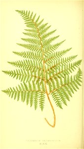 n183_w1150