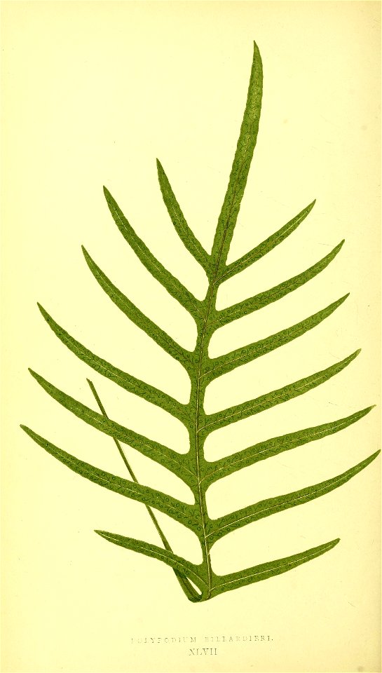 n247_w1150