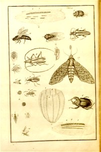 n559_w1150
