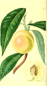 n169_w1150