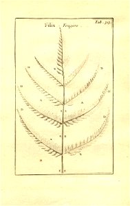 n63_w1150