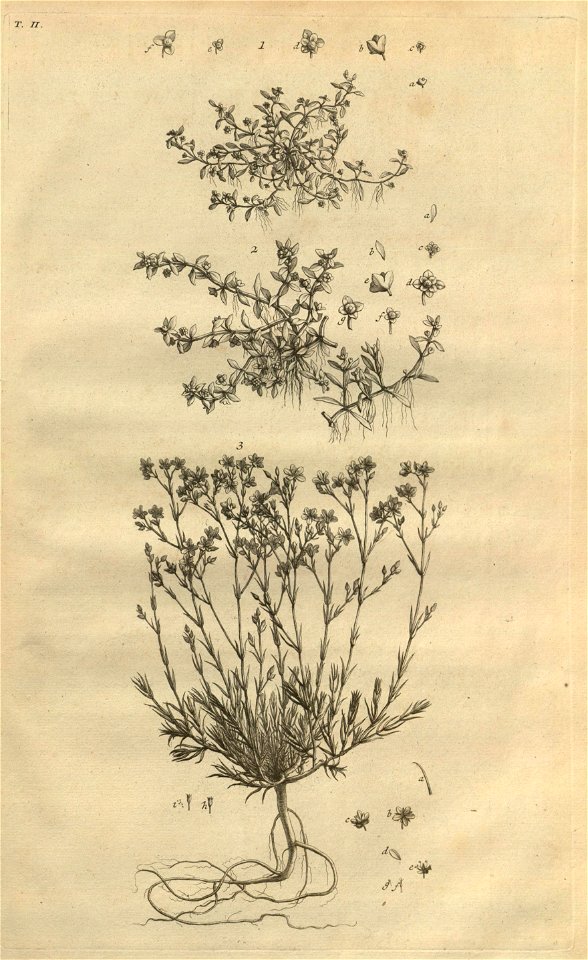 n265_w1150