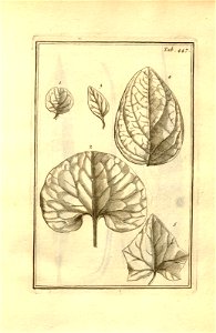 n197_w1150