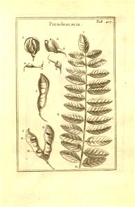 n167_w1150