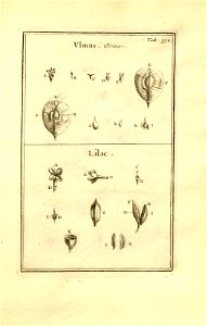 n122_w1150