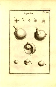 n190_w1150