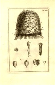 n175_w1150