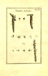 n115_w1150
