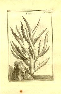 n85_w1150