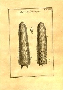 n55_w1150