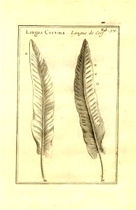 n69_w1150