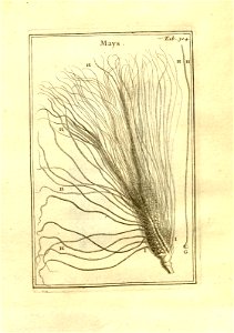 n54_w1150
