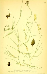 n456_w1150