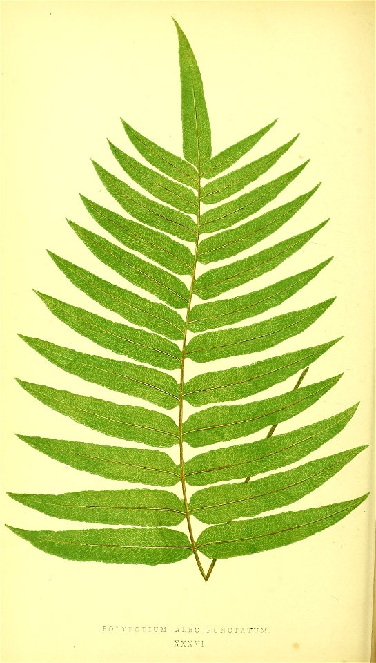 n197_w1150