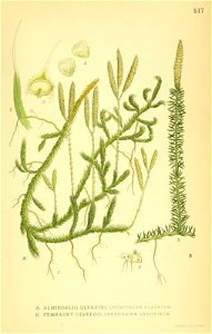 n512_w1150