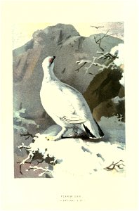 n145_w1150