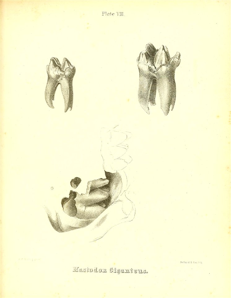 n252_w1150