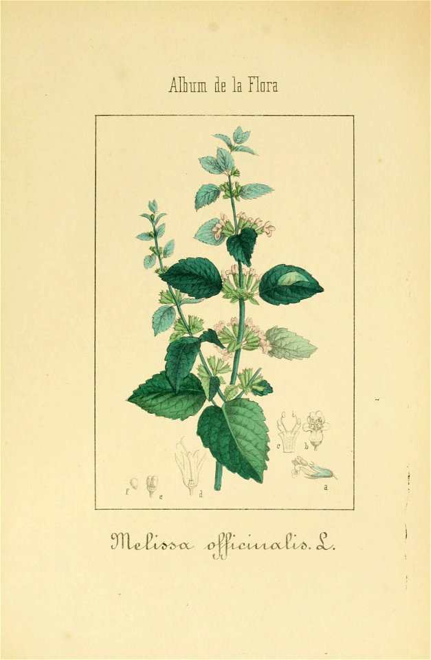 n308_w1150