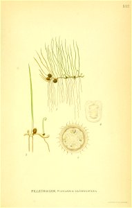 n502_w1150
