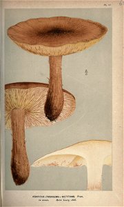n164_w1150