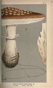 n44_w1150