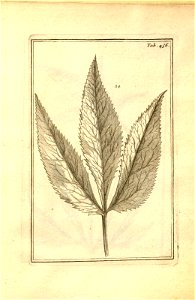 n206_w1150
