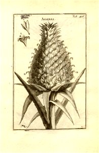 n176_w1150