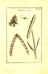 n161_w1150