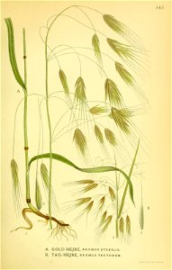 n368_w1150