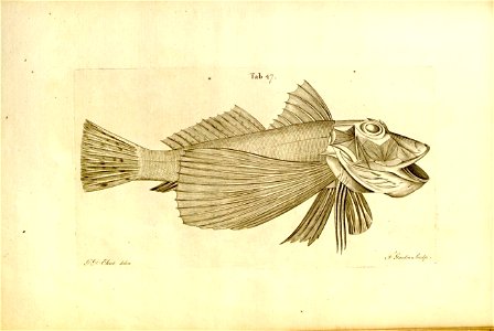 n563_w1150