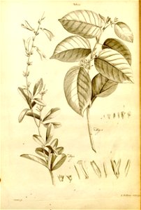 n548_w1150