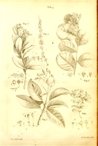 n533_w1150