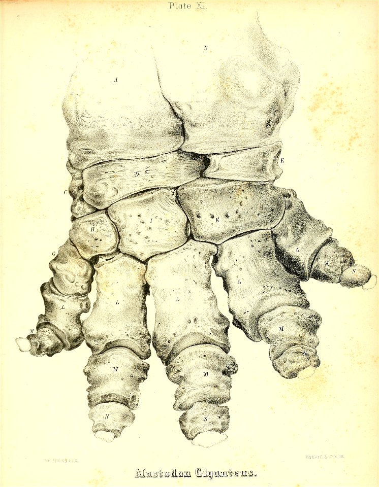 n258_w1150