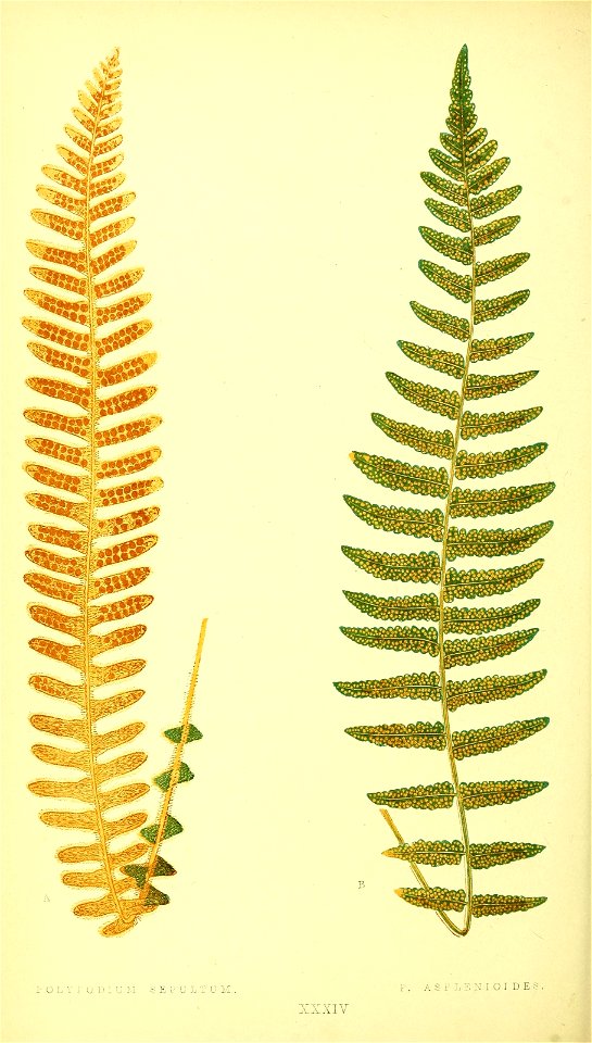 n187_w1150