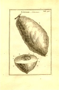 n146_w1150
