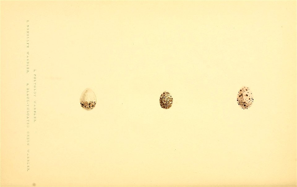 n351_w1150