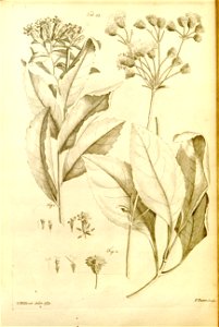 n549_w1150