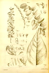 n547_w1150