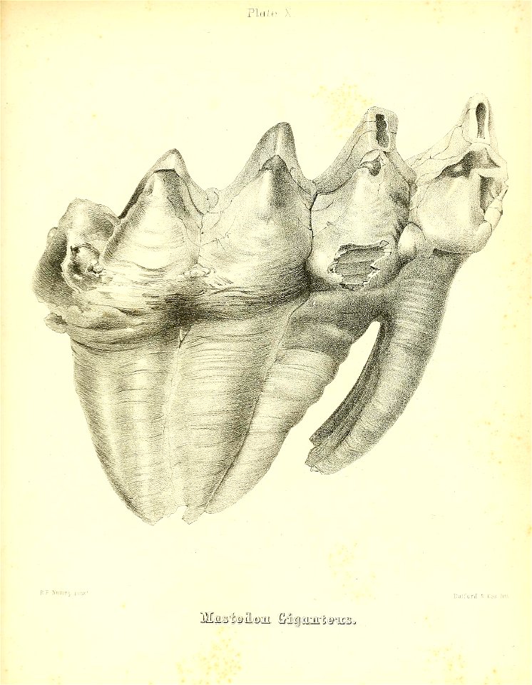 n256_w1150