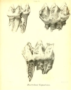 n254_w1150