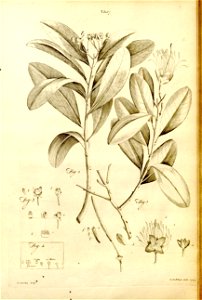 n543_w1150