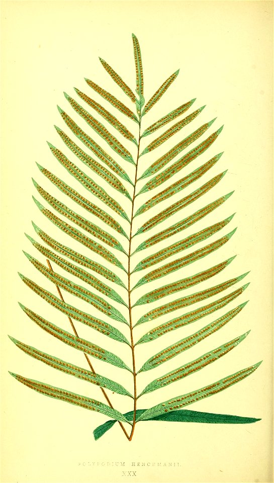 n171_w1150