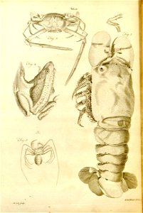 n557_w1150