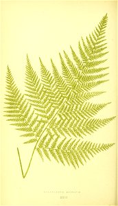 n137_w1150