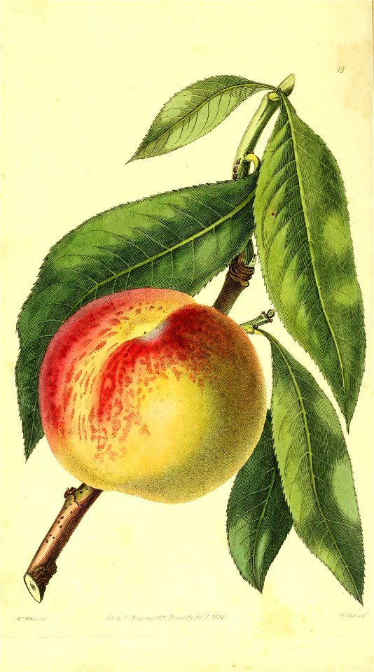 n69_w1150