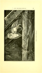 n94_w1150
